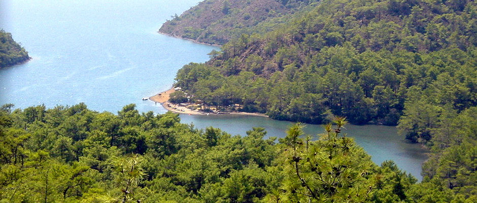 Marmaris Amazon Orman Kampı Marmaris Amazon Orman Kampı