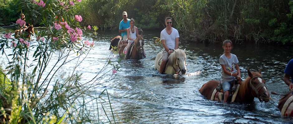 Marmaris At Safari Turu Marmaris At Safari Turu