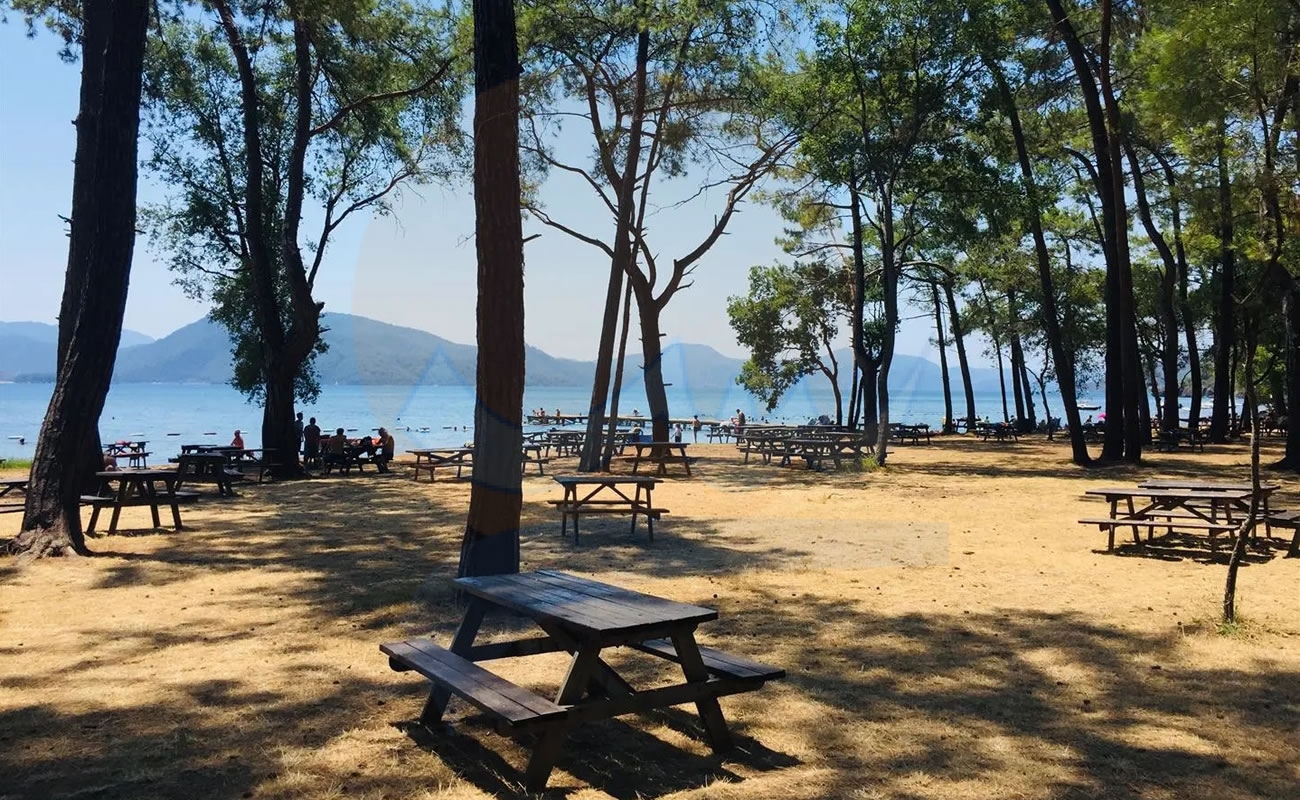 Marmaris Çubucak Orman Kampı