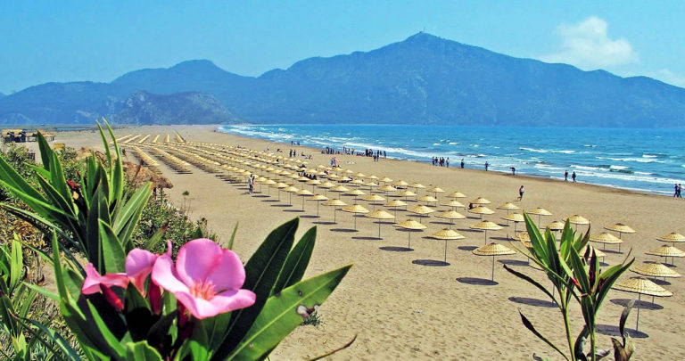 Dalyan İztuzu Plajı, Kaplumbağ Paljı