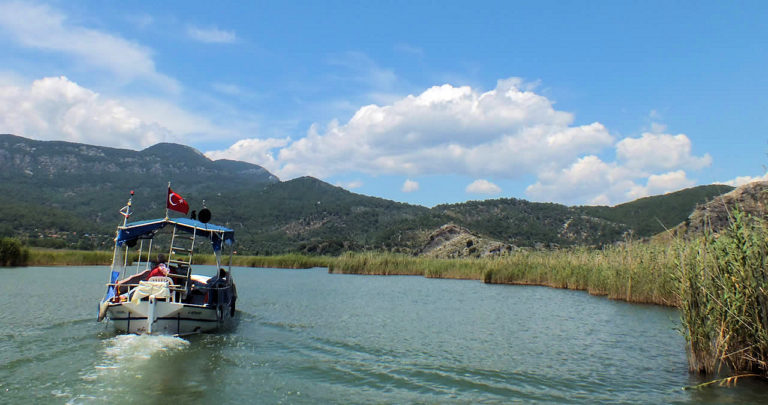 Dalyan Nehri ve Sazlıklar