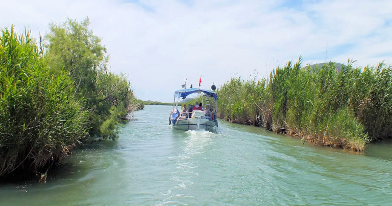 Dalyan Nehri ve Sazlıklar