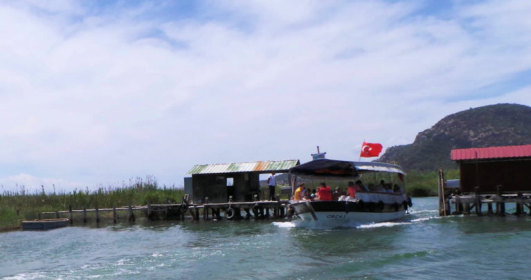 Dalyan Nehri ve Sazlıklar