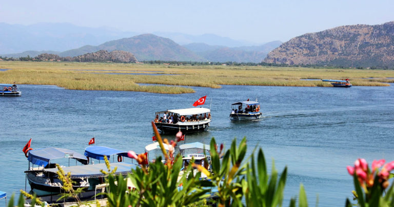 Dalyan Nehri ve Sazlıklar