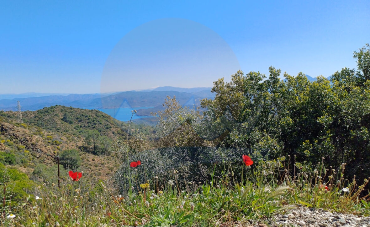 Marmaris Milli Parkı - Marmarisim Marmaris Milli Parkı