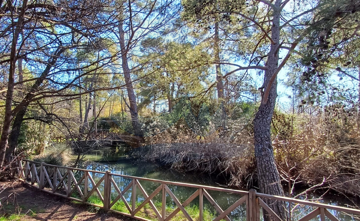 Marmaris Milli Parkı - Marmarisim Günncücek Parkı, Marmaris Milli Parkı