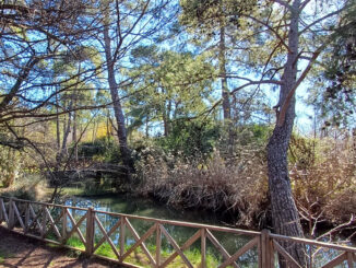 Marmaris Milli Parkı