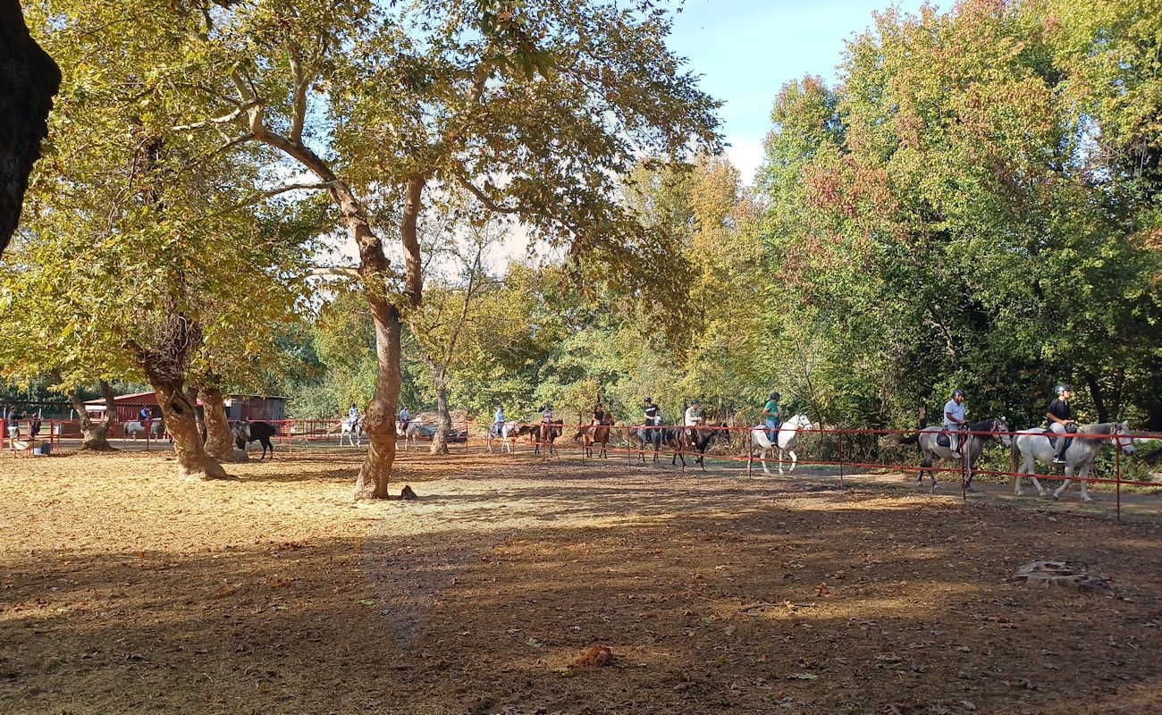 Marmaris Pınar At Safari #image_title