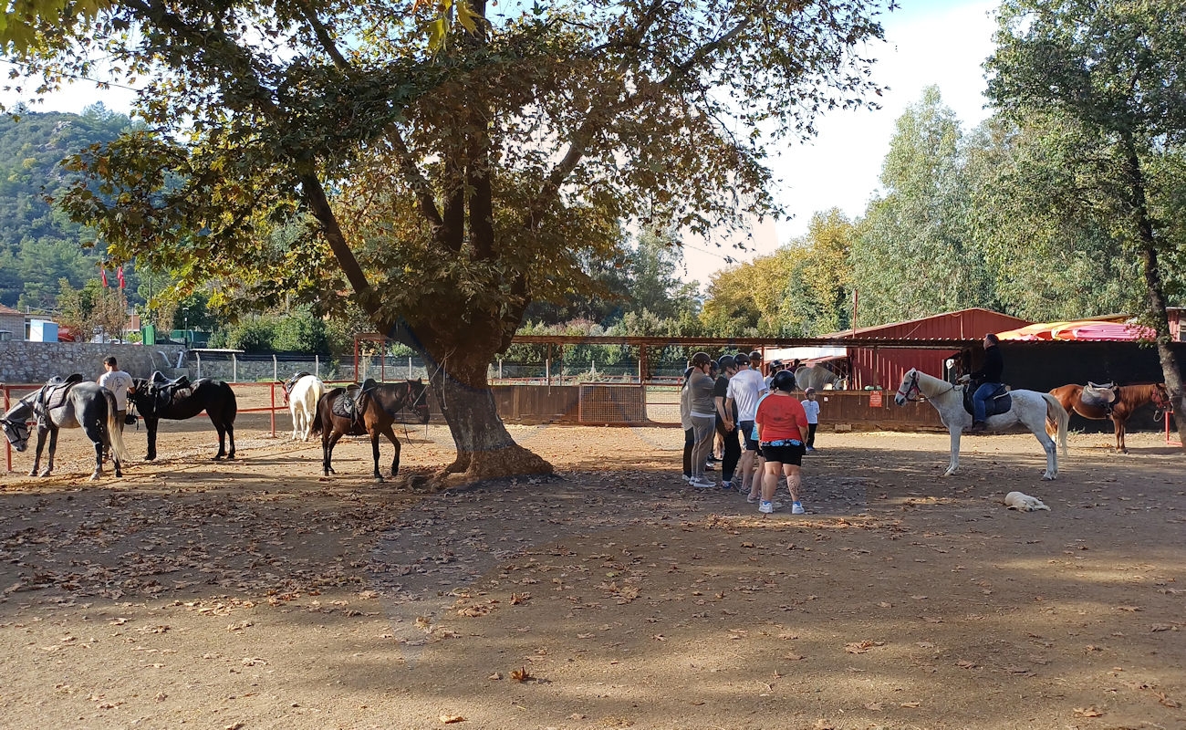 Marmaris Pınar At Safari #image_title