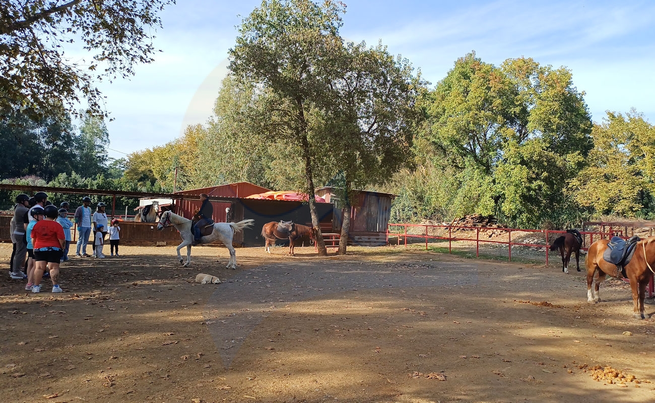 Marmaris Pınar At Safari #image_title