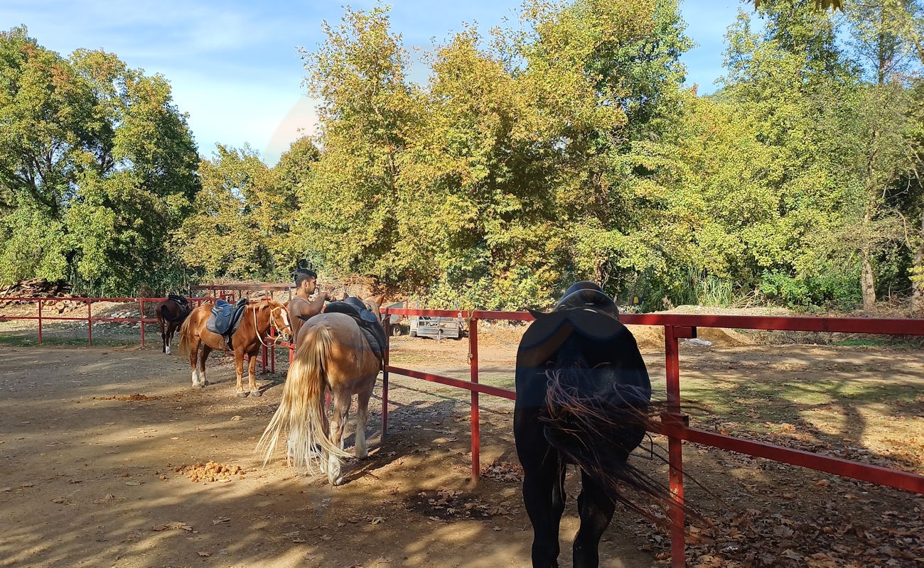 Marmaris Pınar At Safari #image_title