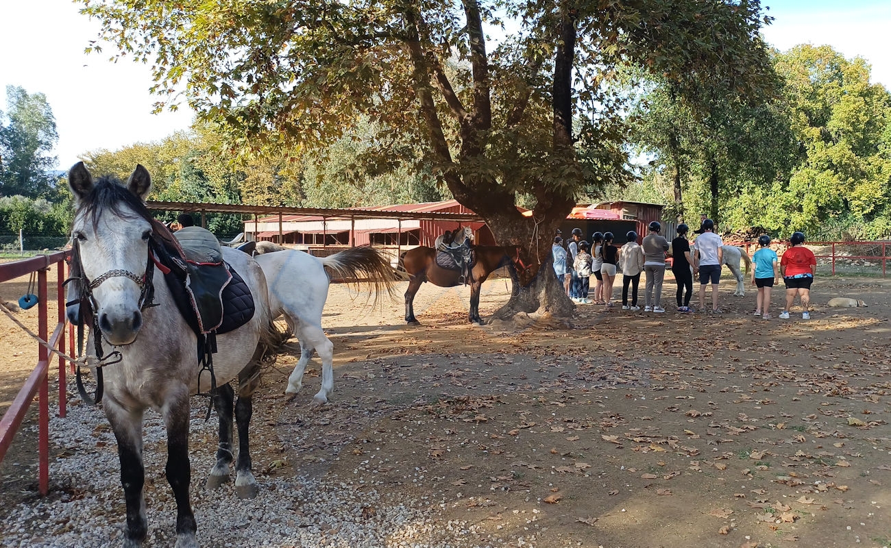 Marmaris Pınar At Safari #image_title