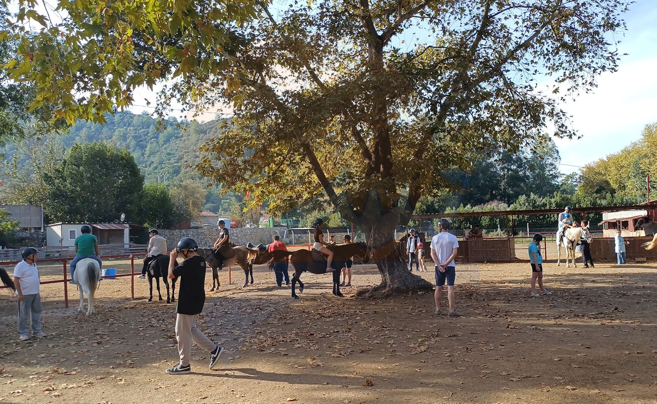 Marmaris Pınar At Safari #image_title