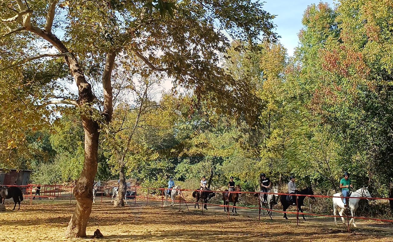 Marmaris Pınar At Safari #image_title