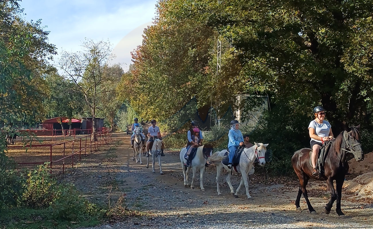 Marmaris Pınar At Safari #image_title