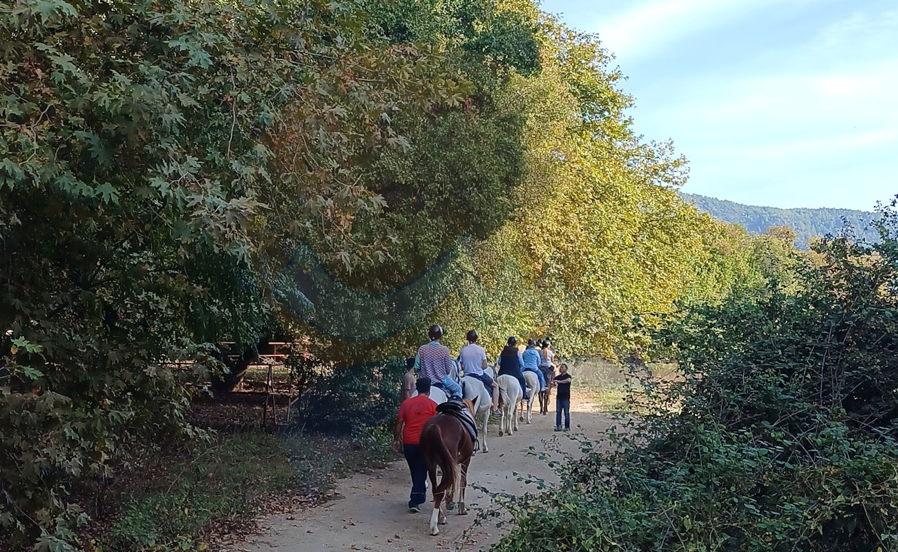 Marmaris Pınar At Safari #image_title