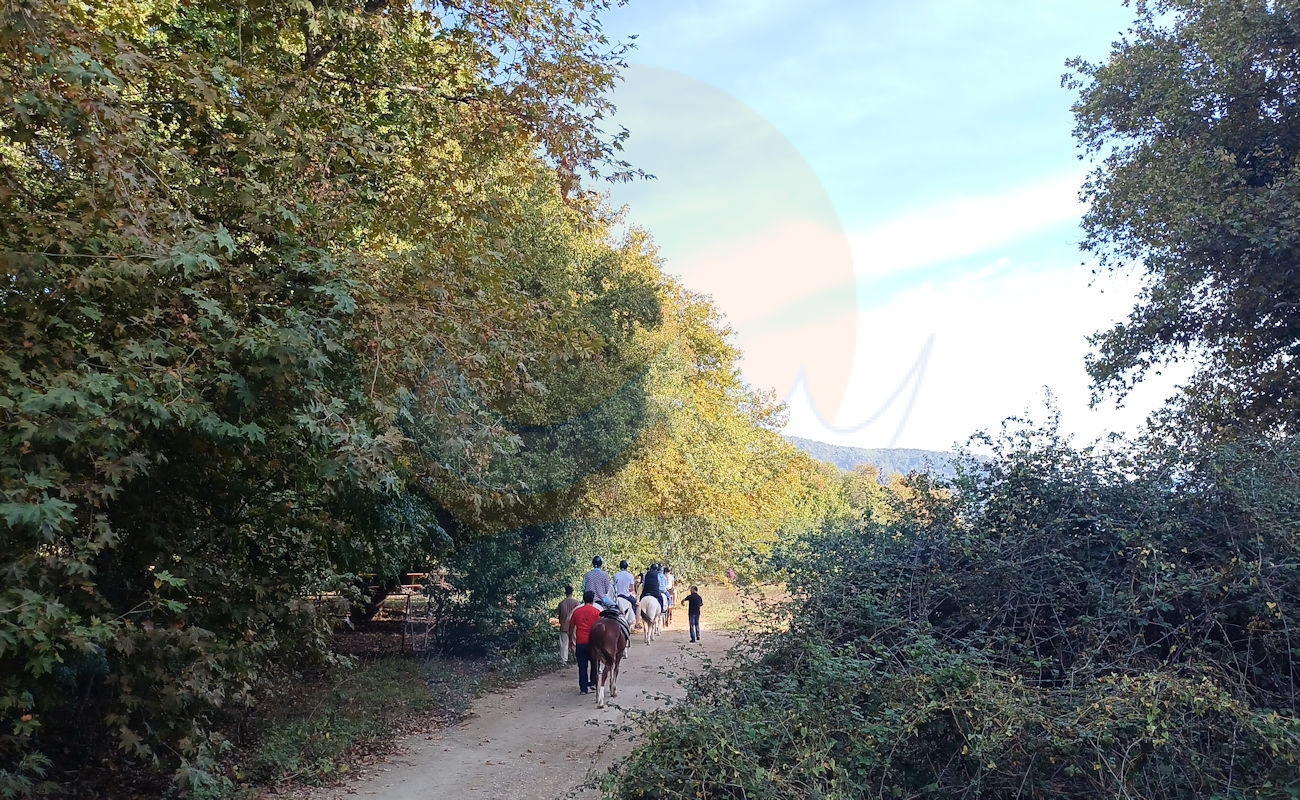 Marmaris Pınar At Safari #image_title