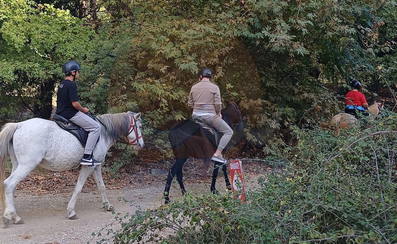 Marmaris Pınar At Safari #image_title