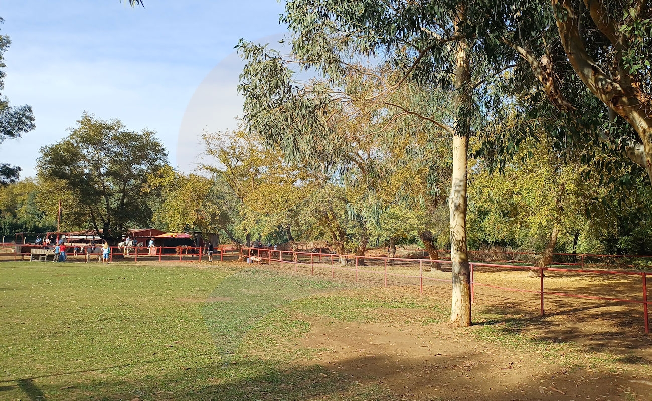 Marmaris Pınar At Safari #image_title